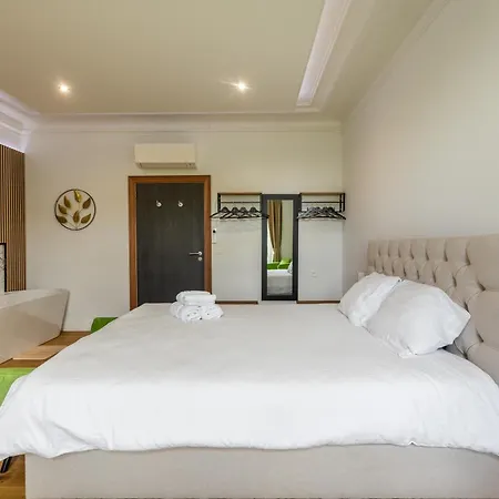 홈스테이 Au Chateau 101 Tinlot